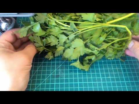 Видео: листья для деревьев в 35 масштабе