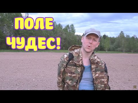 Видео: НЕ ЛЕС, А ПОЛЕ ЧУДЕС!! НАШЕЛ НЕКОПАННЫЕ МЕСТА!