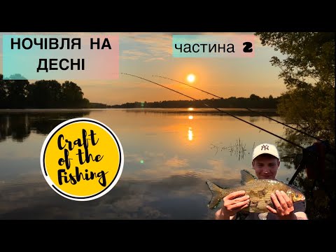 Видео: Деснянський ЛЯЩ на фідер❗️Рибалка з ночівлею на Десні, частина 2❗️