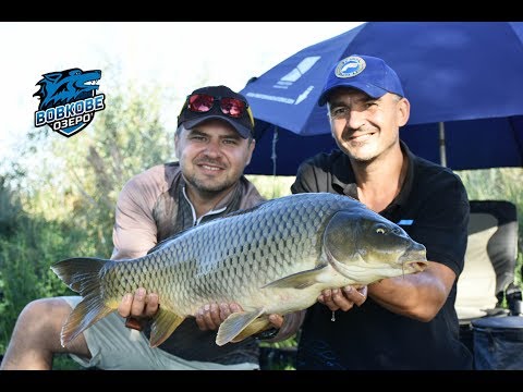 Видео: Вовкове озеро. Флэт vs Карповая классика #2. Часть 2