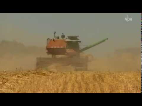 Видео: Podsosnowo 0017   документальный про немецкий район TV 2012 08 10