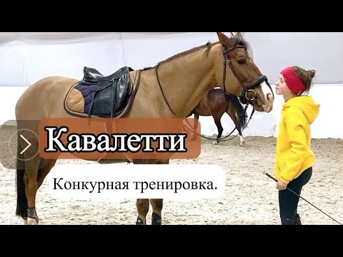Видео: Конкурная тренировка. Кавалетти