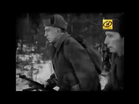 Видео: Знаменитые советские трактора "Сталинец" С-60 и С-65