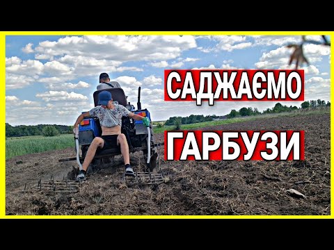 Видео: САДЖАЄМО ГАРБУЗИ МІНІТРАКТОРОМ