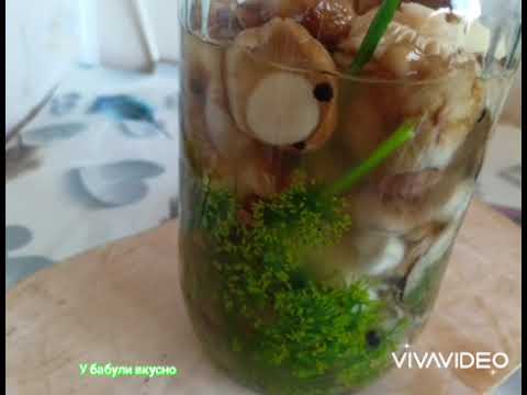 Видео: #Новинка Подтопольники,как вкусно засолить грибы,заготовки.