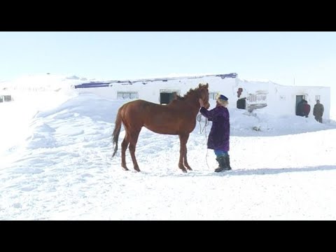 Видео: «Тарих пен тағдыр». Темірхан Тоқбергенов