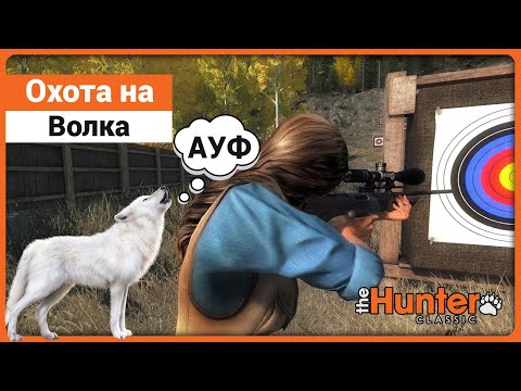 Видео: Волк в theHunter Classic !