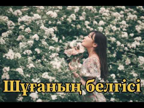 Видео: Шұғаның белгісі! Бейімбет Майлин