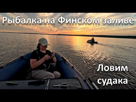 Видео: Рыбалка в Ленинградской области.Судак на Финском заливе