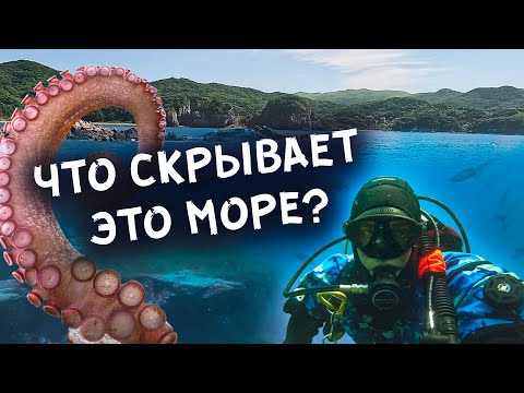 Видео: Путешествие без границ: морские открытия