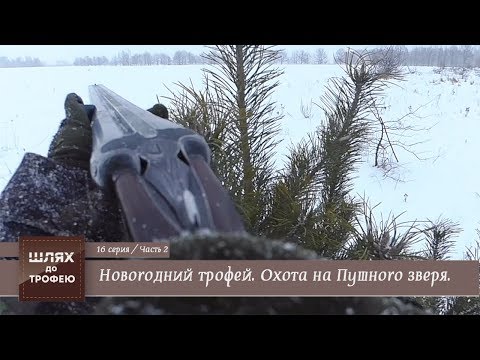 Видео: Новогодний трофей. Охота на Пушного зверя. Часть 2 [Шлях до Трофею №16]