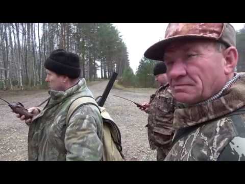 Видео: МИХАЛЫЧ ОХОТА С ГОНЧИМИ ПО ЧЕРНОТРОПУ