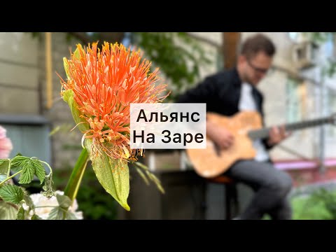 Видео: Альянс - На заре (кавер с лупером)