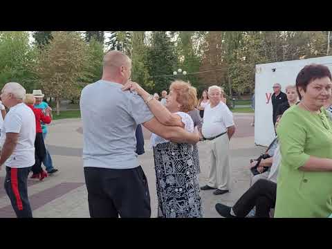 Видео: Зорька ясная... 22.09.24...