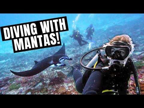 Видео: Подводное плавание с мантами на острове Нуса Пенида 🇮🇩 Влог о путешествиях по Индонезии