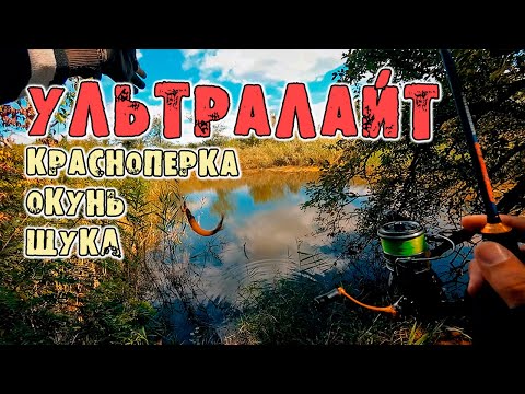 Видео: Рыбалка на Maximus Streetracer Rockfish в Прикубанском лесу