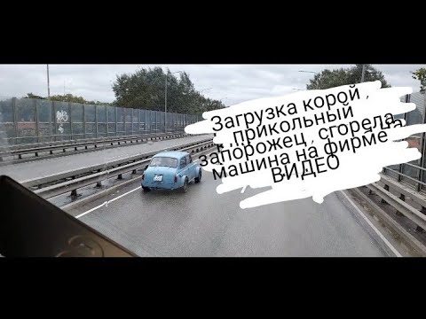 Видео: Загрузка корой . Прикольный запорожец . Сгорела машина на фирме ВИДЕО .