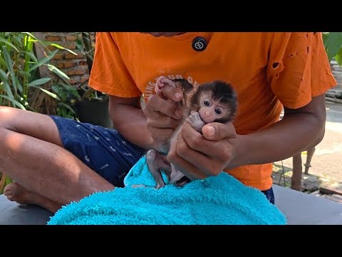 Видео: Руби, возможно, не совсем здорова, но, по крайней мере, у нее есть голос..