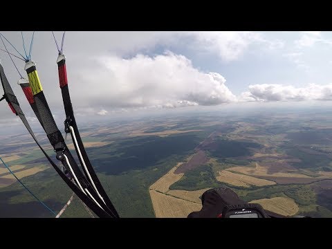 Видео: Полёт на параплане с орлами! Самый волнительный полёт!