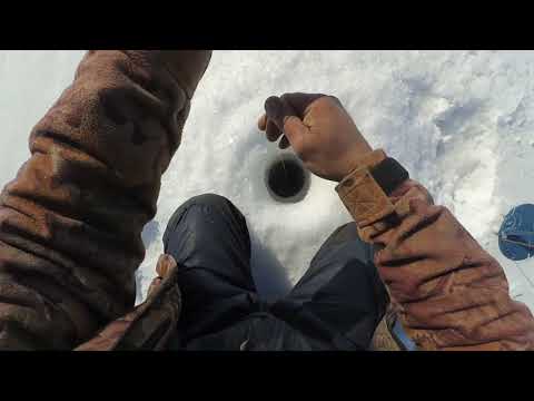 Видео: Ловля судака ,Вячеславское водохранилище 08.03.2019г