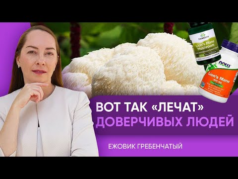 Видео: Гриб ежовик гребенчатый / львиная грива, воздействие на психику, так ли эффективен? @evropapsi