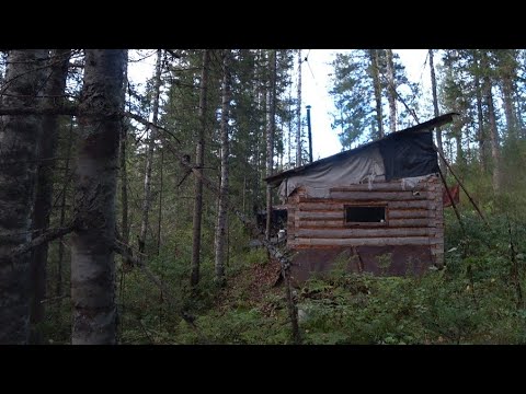 Видео: КОВАРНЫЕ ТОПКИЕ БОЛОТА. ЗА ХАРИУСОМ В ТАËЖНЫЕ ЕБЕНЯ. СТРОИТЕЛЬСТВО БАНИ В ГУЛАГОВСКОЙ ТАЙГЕ.