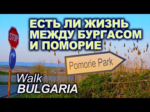 Видео: BULGARIA | WALK TOUR | РЕАЛЬНО ЛИ ДОЙТИ ПЕШКОМ ОТ БУРГАСА ДО ПОМОРИЕ / СЕКРЕТНЫЙ ПЛЯЖ