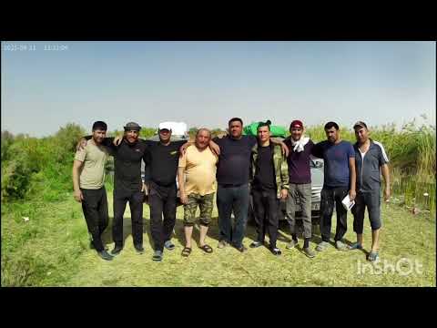 Видео: Табият куйнида сентябрь 