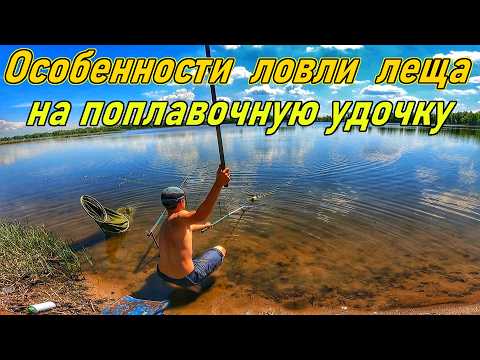 Видео: ЛЕЩ НА УДОЧКУ/РЫБАЛКА НА РЕКЕ САМАРА/РЫБАЛКА С БЕРЕГА НА ПОПЛАВОК/ЛОВЛЯ ЛЕЩА/РЫБАЛКА В САМАРЕ/2024