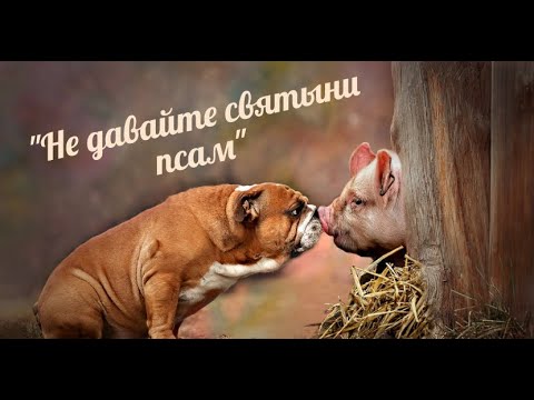 Видео: "Не давайте святыни псам." Морис Берри