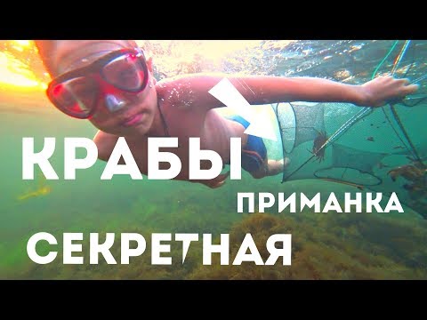 Видео: РАКОЛОВКИ! КРАБЫ НА СЕКРЕТНУЮ ПРИМАНКУ! ЧЕРНОЕ МОРЕ!