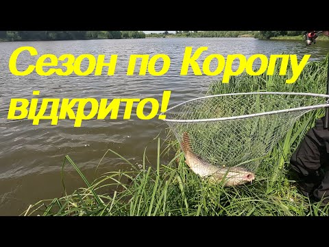 Видео: Відкриття сезону по коропу. Такого не чекали!!!