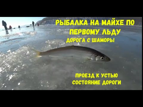 Видео: Рыбалка на речке Майхе по первому льду. Дорога с Шамары, состояние подъездов