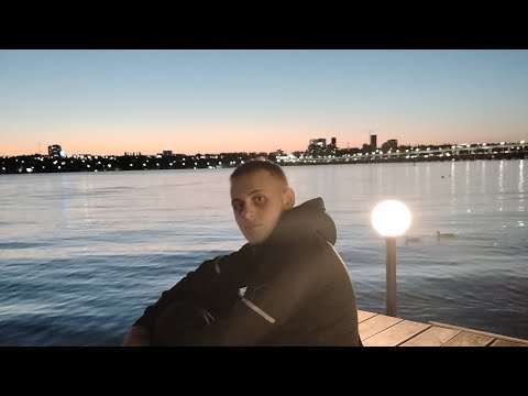 Видео: Гуляю в парке дельфин