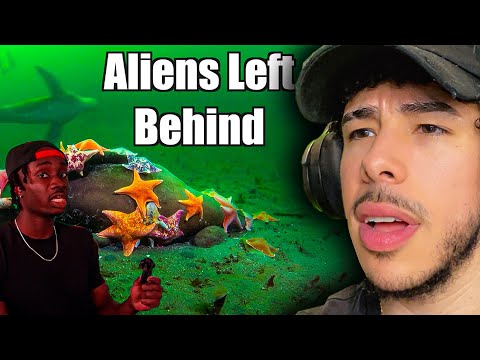 Видео: Океан гораздо страшнее, чем мы думали 😨