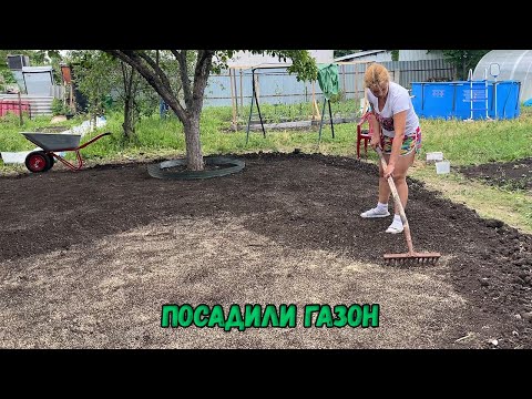 Видео: Посадили газон