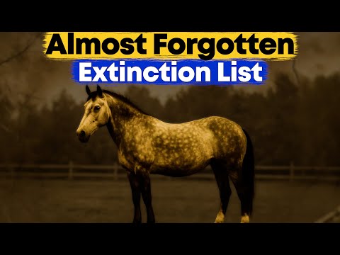 Видео: 30 редких пород лошадей на грани вымирания
