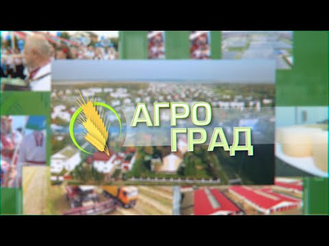 Видео: Агроград 26-08-20