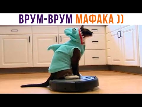 Видео: ЕДЕМ НА КУХОНЬКУ ))) Приколы с котами | Мемозг 1090