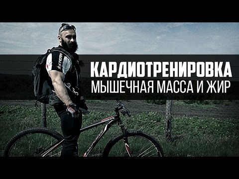 Видео: Кардиотренировка, сжигание жира и мышечная масса. Велосипед - выбор Бородача.