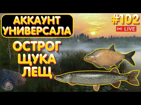 Видео: Острог Лещ + Щука🔥ПРЕМЫ и ЗОЛОТО в Телеге и на Trovo🎁Аккаунт универсала #102🔥Русская Рыбалка 4 #1136