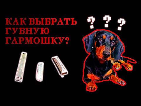 Видео: Как выбрать губную гармошку | How to choose a harmonica (ENG sub)