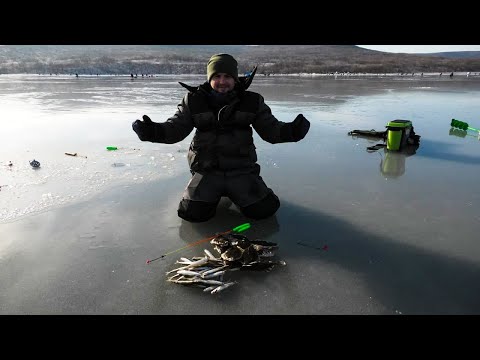 Видео: ПЕРВЫЙ ЛЕД/МОРСКАЯ РЫБАЛКА/КОРЮШКА/КАМБАЛА/2020