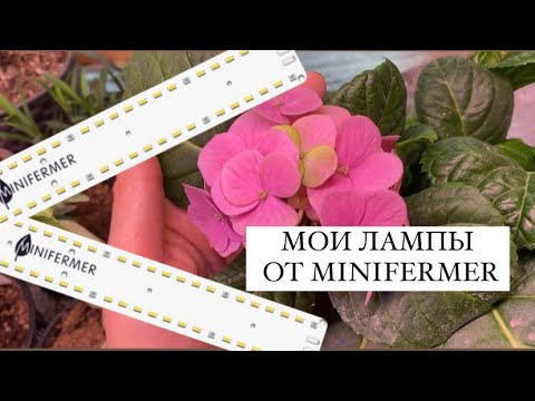 Видео: ОБЗОР МОИХ 💡ФИТОЛАМП ОТ 🌱🌿МИНИФЕРМЕР