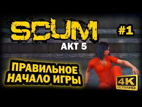Видео: SCUM ➤ 4К. АКТ 5. Глава 1: ПРАВИЛЬНОЕ НАЧАЛО ИГРЫ | СКАМ 2024 | ОБУЧЕНИЕ ДЛЯ НОВИЧКОВ. ГАЙД.