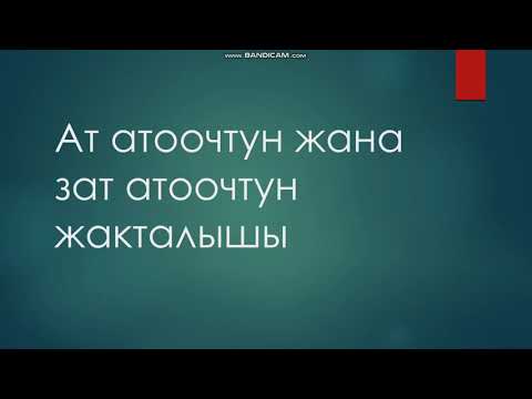 Видео: Ат атоочтун жана зат атоочтун жакталышы