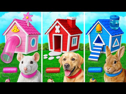 Видео: Домики Одного Цвета для Животных Челлендж | Смешные Ситуации и Неудачи Multi DO Smile
