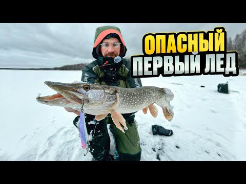 Видео: ПЕРВЫЙ лед 3 сантиметра ТРЕЩИТ и ломается под ногами! ЩУКА В каждой ЛУНКЕ!