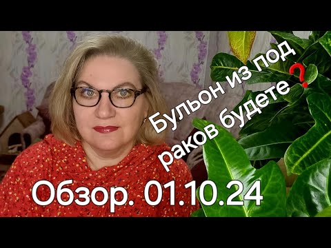 Видео: Обзор. Без воды и не ТУДЫ, и не СЮДЫ 🤷‍♀️❗️