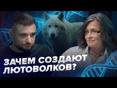 Видео: Биология и ИИ | Зачем ученые создают лютоволков? | Мария Попцова